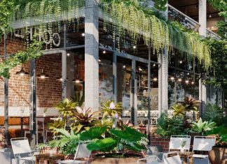 Thu hút khách hàng với bí quyết trang trí cafe sân vườn cùng cây trầu bà Thu hút khách hàng với bí quyết trang trí cafe sân vườn cùng cây trầu bà 1