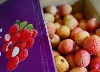3 cách giữ lạnh bảo quản trái cây xuất khẩu 01
