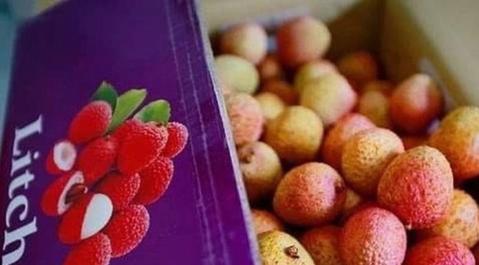 3 cách giữ lạnh bảo quản trái cây xuất khẩu 01