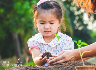 Dự án Triệu hạt giống FREE truyền cảm hứng gieo trồng cho các em nhỏ Du-an-trieu-hat-giong-FREE-post
