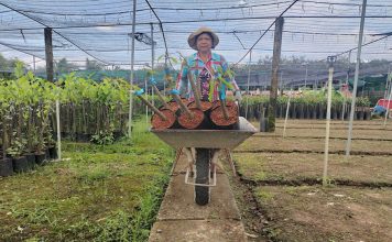 Tiền Giang siết chặt quản lý chất lượng giống cây trồng Tiền Giang siết chặt quản lý chất lượng giống cây trồng
