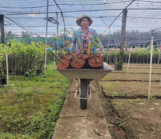 Tiền Giang siết chặt quản lý chất lượng giống cây trồng