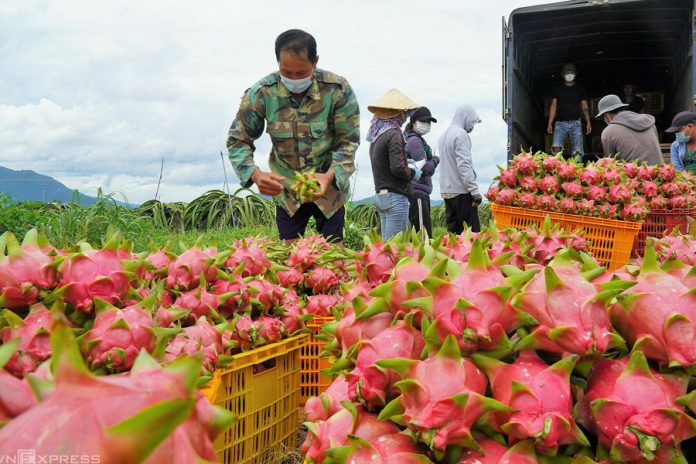 Trung Quốc thông báo 439 trường hợp vi phạm mã số vùng trồng trong 8 tháng