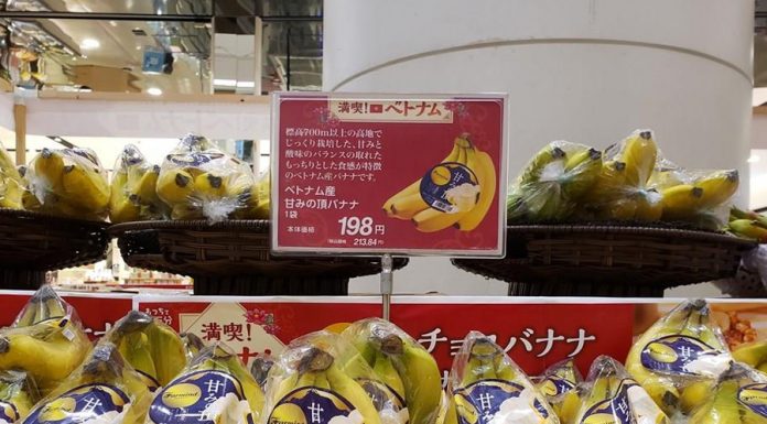 Xuất khẩu chuối Việt Nam sang Nhật Bản tăng đột biến