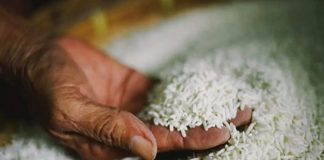 Ấn Độ xem xét giảm giá sàn xuất khẩu gạo basmati