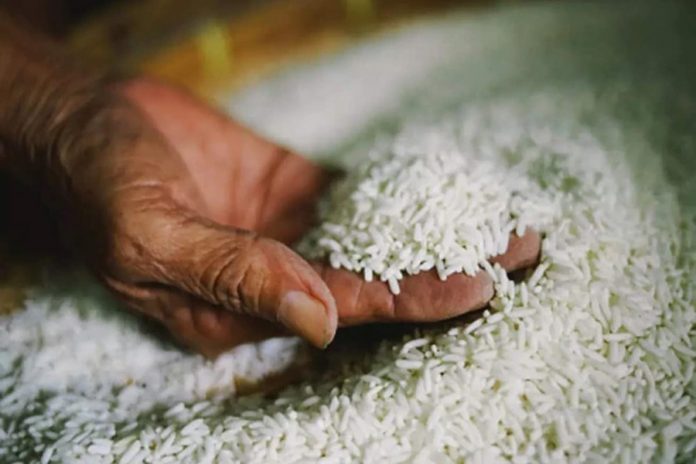 Ấn Độ xem xét giảm giá sàn xuất khẩu gạo basmati