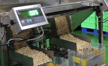 Chất lượng hạt điều xuất khẩu bị cảnh báo Chất lượng hạt điều xuất khẩu bị cảnh báo