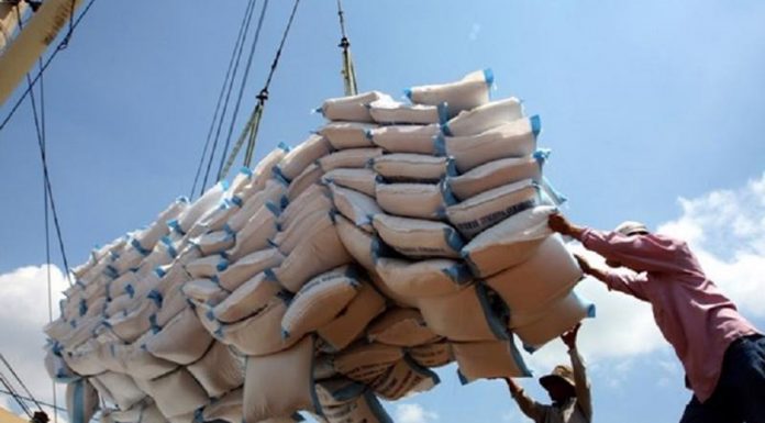 Đẩy mạnh hợp tác thương mại gạo với Indonesia, Philippines