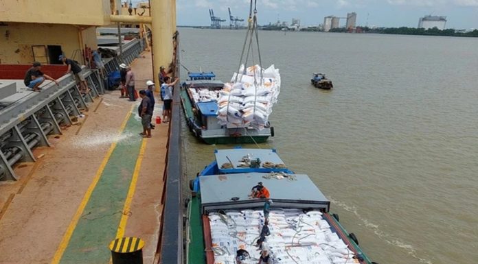 Giá gạo thế giới tăng trở lại, giá gạo Việt dẫn đầu