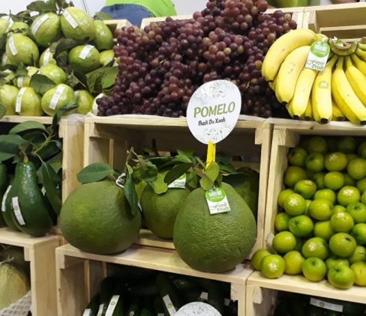 Xuất khẩu hoa quả Việt Nam vào châu Âu tăng mạnh