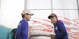 Gạo Việt được nhiều nước ồ ạt thu mua