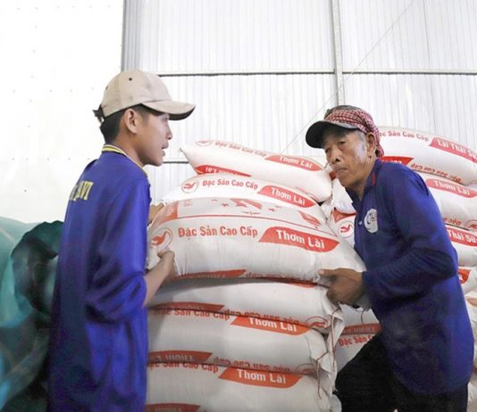 Gạo Việt được nhiều nước ồ ạt thu mua