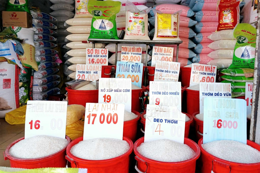 Giá gạo xuất khẩu lập đỉnh cao nhất 15 năm