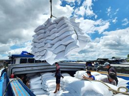 Giá gạo xuất khẩu lập đỉnh cao nhất 15 năm