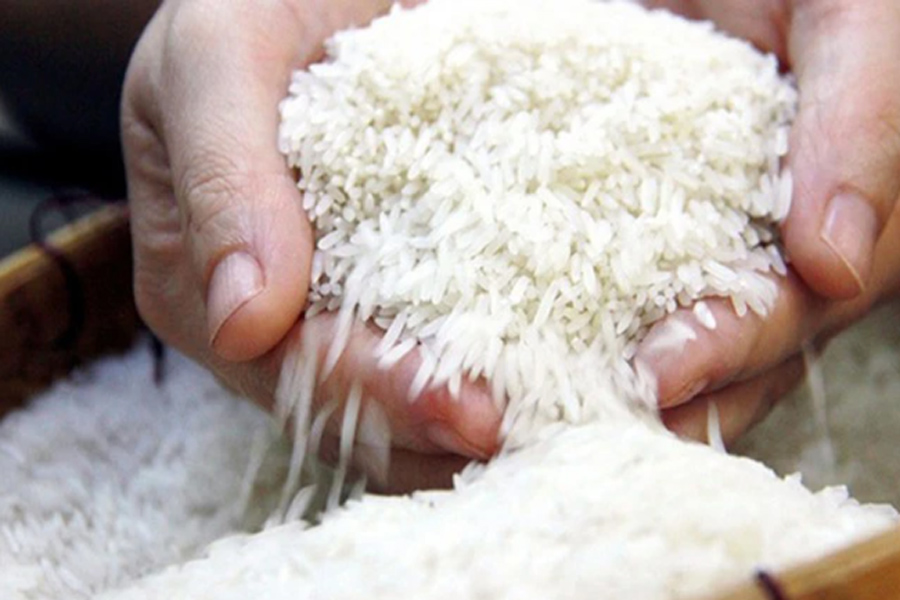 Giá lúa lên mức 9.4000 đồng/kg - cao kỷ lục