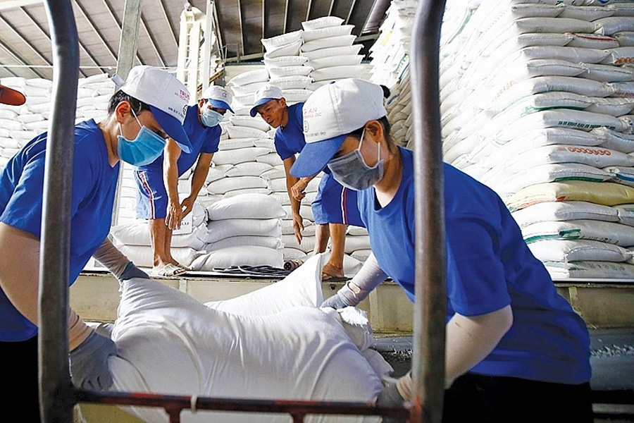 Khi giá gạo xuất khẩu cao nhất thế giới nhiều doanh nghiệp thêm lo