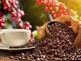 Việt Nam nhập khẩu hơn 100.000 tấn cà phê