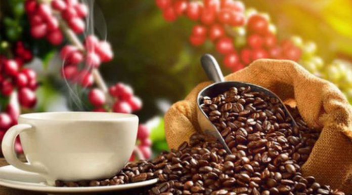 Việt Nam nhập khẩu hơn 100.000 tấn cà phê
