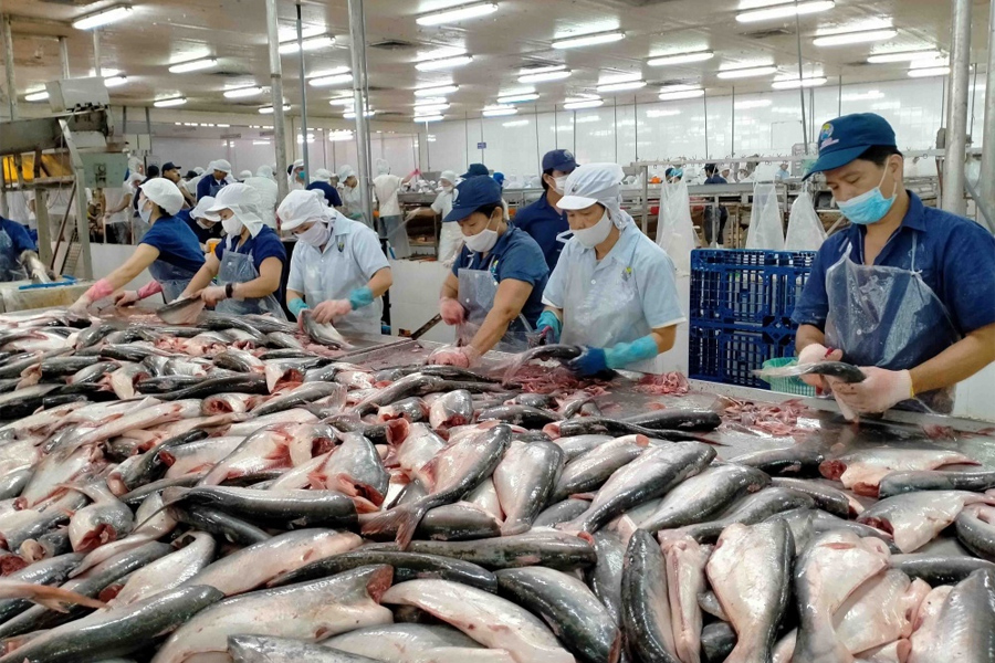 Xuất khẩu cá tra giảm 30%