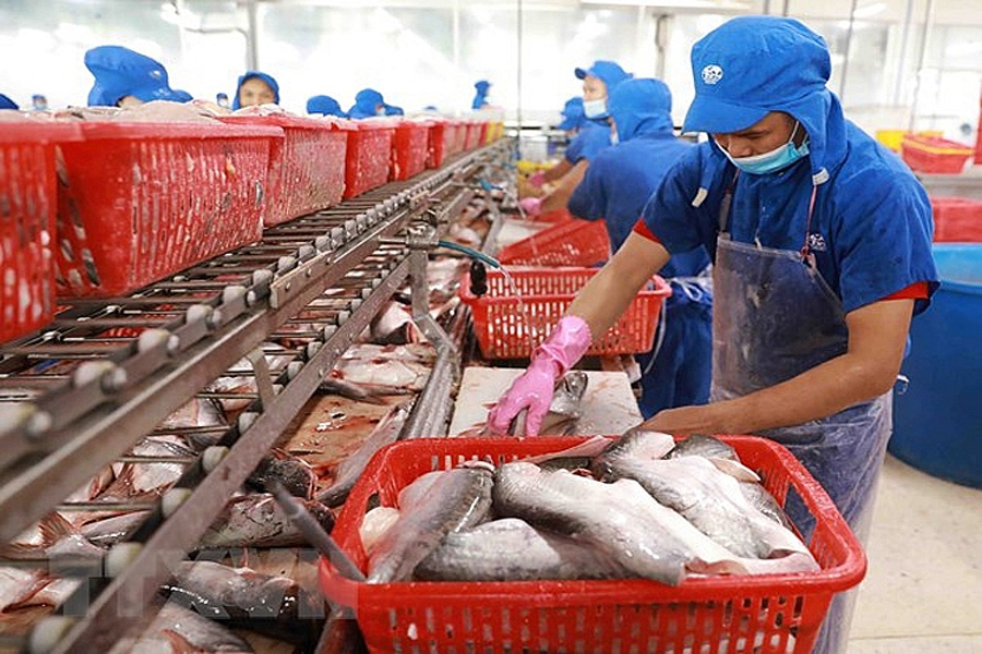 Xuất khẩu cá tra giảm 30%