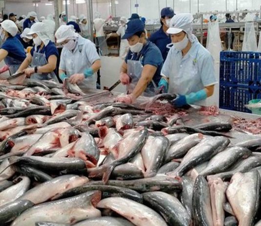 Xuất khẩu thủy sản đón nhận nhiều tín hiệu tích cực