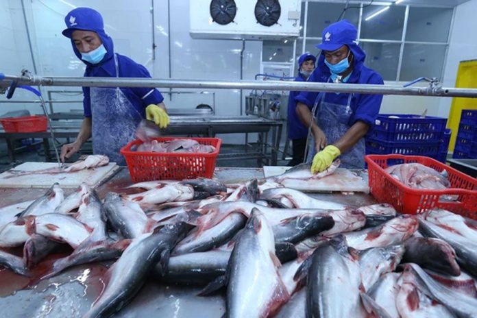 Dự báo sản lượng cá tra năm 2024 tăng 2.8%