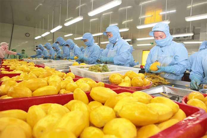 Xuất khẩu rau quả dự kiến mang về hơn 5.6 tỷ USD