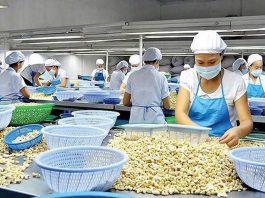 Cảnh báo doanh nghiệp Việt Nam khi xuất khẩu tiêu, điều sang Tây Ban Nha