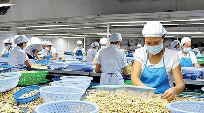 Cảnh báo doanh nghiệp Việt Nam khi xuất khẩu tiêu, điều sang Tây Ban Nha