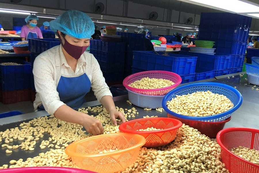 Cảnh báo doanh nghiệp Việt Nam khi xuất khẩu tiêu, điều sang Tây Ban Nha
