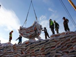 Indonesia tiếp tục nhập khẩu 2 triệu tấn gạo trong năm nay