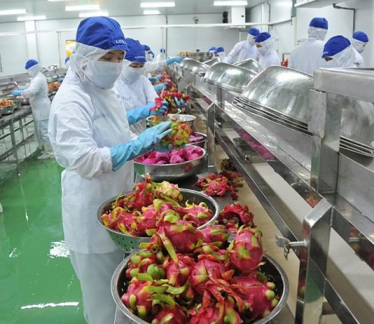 Những yếu tố thuận lợi khi xuất khẩu nông sản sang Trung Quốc