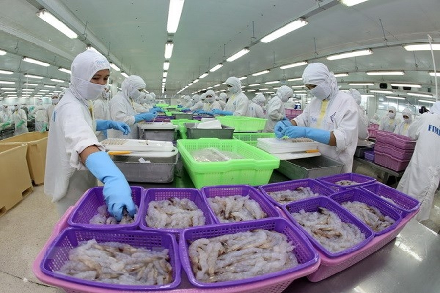 Xuất khẩu tôm sang Trung Quốc có thể phục hồi