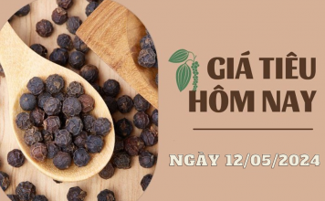 Giá tiêu hôm nay 12/5/2024