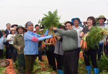 Nông nghiệp Việt Nam Quyết Tâm Vươn Lên Vai Trò Tiên Phong, Kiến Tạo Đột Phá