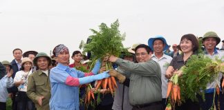 Nông nghiệp Việt Nam Quyết Tâm Vươn Lên Vai Trò Tiên Phong, Kiến Tạo Đột Phá