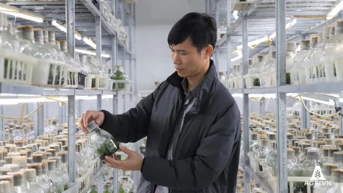 Phát-triển-ngành-hoa,-cây-cảnh-cần-cơ-chế,-chính-sách-đồng-bộ Phát-triển-ngành-hoa,-cây-cảnh-cần-cơ-chế,-chính-sách-đồng-bộ